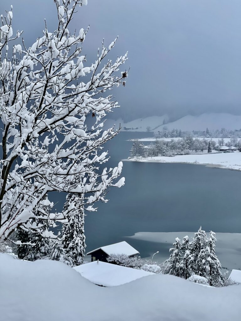 Zimní krajina ve Švýcarsku, v pozadí vodní plocha